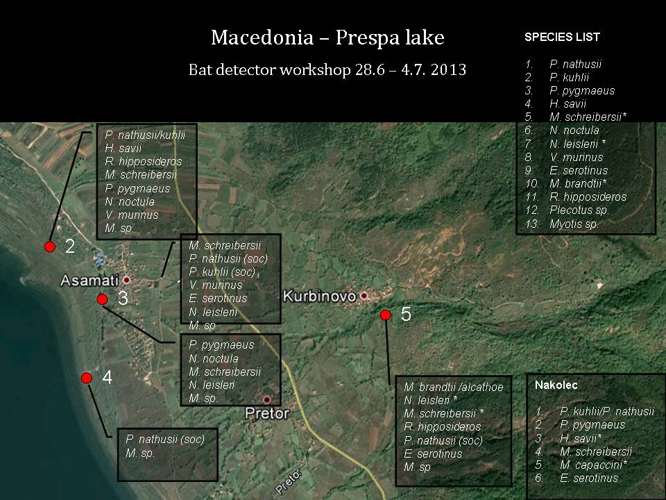 Map with the places where mist nettings and recordings were conducted and the corresponding species names of registered bat species..jpg
