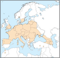Barbastella barbastellus distribution map 