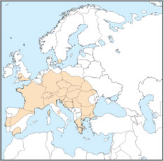 Myotis bechsteinii distribution map 