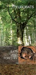bats forestry